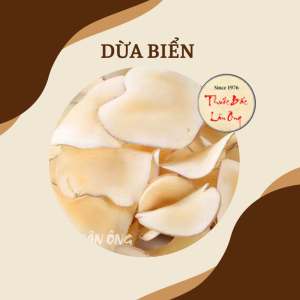 Dừa biển khô 100g dùng nấu canh pha trà bổ phế thanh nhiệt tốt cho sức khỏe - Lãn Ông