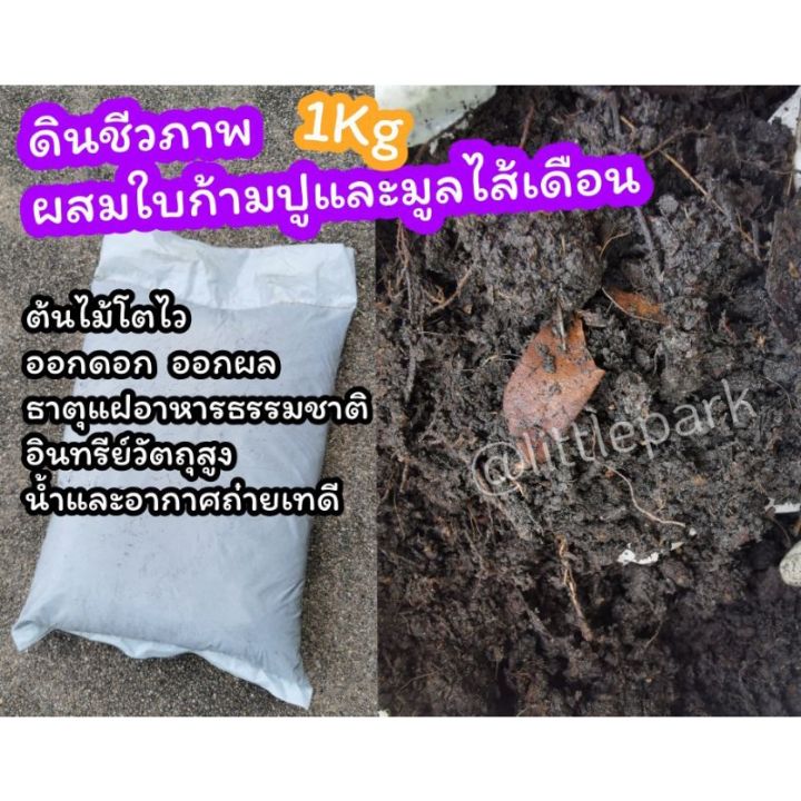 ดินปลูกต้นไม้ชีวภาพผสมใบก้ามปูและมูลไส้เดือน