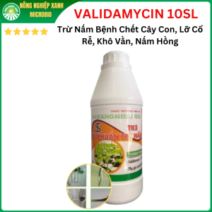 VALIDAMYCIN 10SL Xạ Khuẩn Trừ Nấm Bệnh Chết Cây Con Lỡ Cổ Rễ Khô Vằn Nấm Hồng 900ml