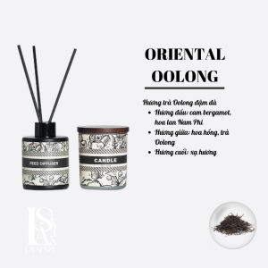 Set Nến Thơm Tinh Dầu Classic Roman Collection Set Quà Tặng Sang Trọng