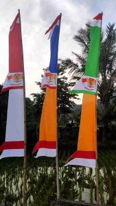 UMBUL UMBUL PASUNG PANJANG