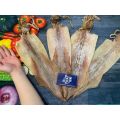[Giao Nhanh HCM] Mực Khô Câu Phan Rang Loại I - Size 8-12 con/kg( Túi 500Gr). 