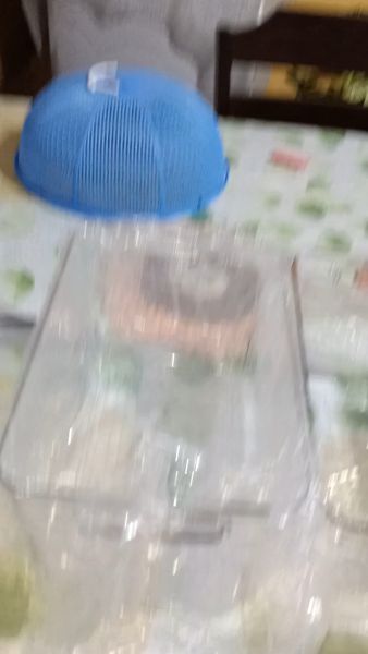 Buyer review video 4