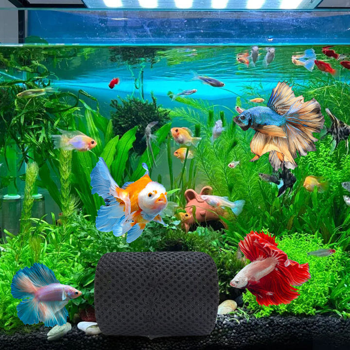 Gallery image with a fresh perspective