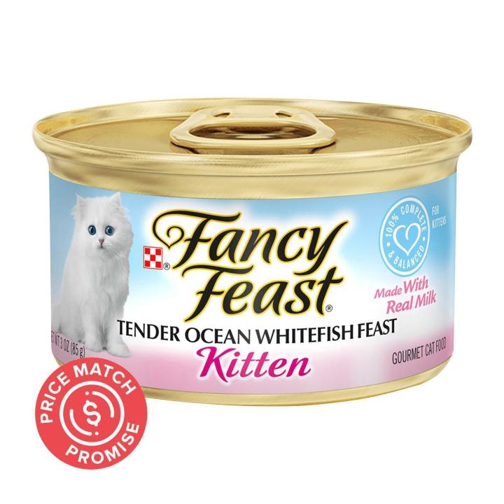 Kittens and clearance wet food