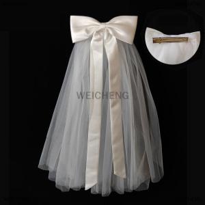 [COD] WEICHENG Bridal Woman Luminous Tulle Long Bachelorette Party Wedding Veil Ribbon Edge With Bowknot For Wedding Party