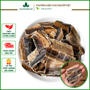 1kg Địa long khô to sạch không lẫn tạp chất- Chợ Thảo Dược Việt