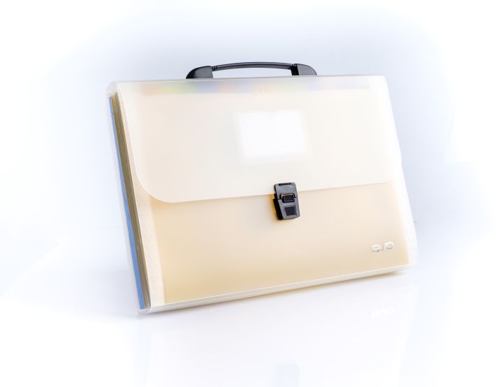 Evo Translucent Expanding File with handle | Lazada PH