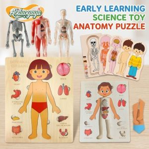 AODUOYAYA Montessori Puzzle Human Body Wooden Anatomy Organs Human Puzzle Facial Features Body Kids Educational Toy