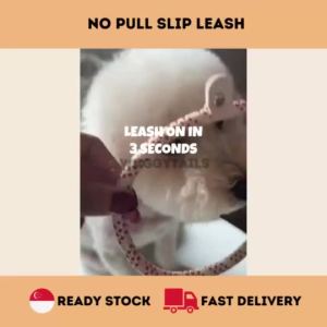 [SG] Dog Slip Leash No Pull 1.5m Training Leash for Walking Small Medium Large Dogs Loose Leash Lead