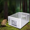 Ultra-Durable Iron Mouse Cage - Cage for Attracting Rats, One-Way Door Design, In-Out Only, Silvery. 