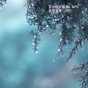 Dehumidifier for Home Use Silent Operation Moisture Absorber for Indoor Damp Weather Humidity