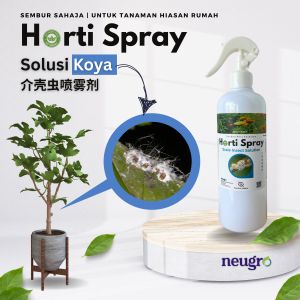 Racun Serangga Koya 500ml Neugro Horti Spray Scale Insect Solution Organic Mealybug Killer 园艺介壳虫有机喷剂