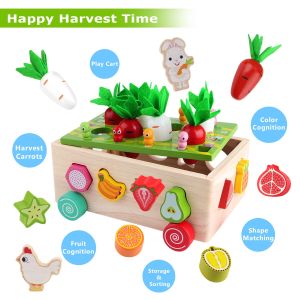 Montessori Wooden Garden Toy Preschool Fine Motor Skills Learning Games Shape Sorting Toys Gifts for Kids 4-6 Year Old