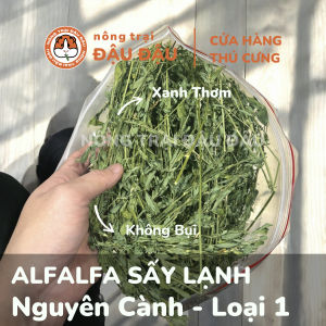 Cỏ Alfalfa Nguyên Cành Cho Thỏ Bọ Ú Chinchilla Nhiều Lá