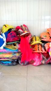 BARONGSAI ANAK/BARONGSAI BERKUALITAS