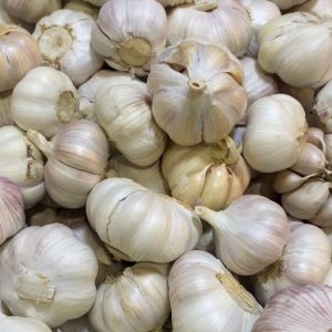 กระเทียม กระเทียมจีน คัดพิเศษ กระเทียมนำเข้า มีหลายขนาด กระเทียมราคาถูก