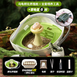 💗🙋‍♀️💗龟友天下可孵化乌龟蛋小草龟缸甲鱼受精活物饲养箱儿童家养观察舱