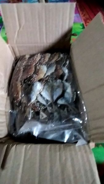 Buyer review video 3