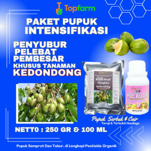 Pupuk Paket Untuk Kedondong / Pupuk Pelebat Buah Kedondong / Pupuk Cair Pelebat Buah Dondong / Pupuk Cair Untuk Buah Kedondong / Pupuk Kedondong