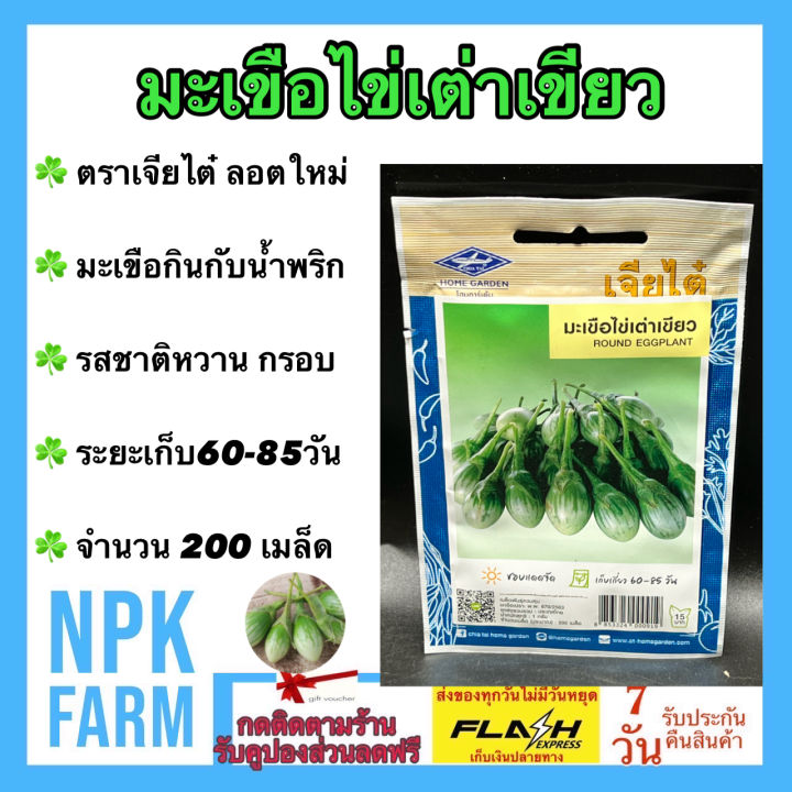 เมล็ดพันธุ์มะเขือไข่เต่าเขียว ตราเจียไต๋ หวานกรอบ