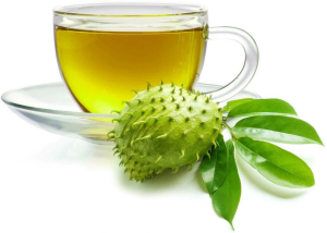 Soursop Leaves Herbal Tea (Dry) - Organic - 50/100 leaves per pack
