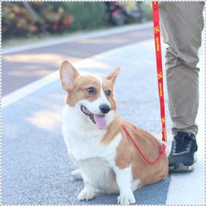 สายจูงสุนัข มีสไตล์และหรูหรา แข็งแรงและทนทาน เชือกลากสุนัข มนุษยธรรม ทนต่อการสึกหรอ การออกแบบสายรัด