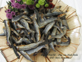 CÁ CHUỒN KHÔ (250 gram). HOÀI THANH - Đặc sản Bình Định. 