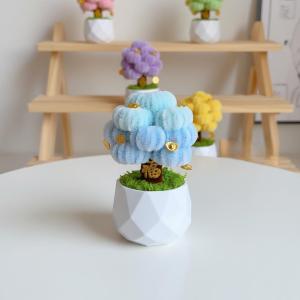 Chậu cây kim tiền kẽm nhung mini nhiều màu sắc – cây phong thủy hút tài lộc may mắn trang trí bàn làm việc