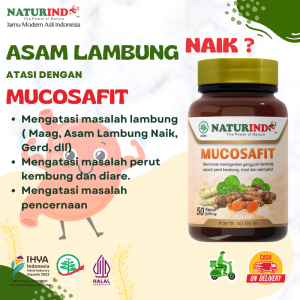 Obat Herbal Asam Lambung Kronis Obat Maag Kembung Sakit Perut Jamu Herbal Naturindo Mucosafit