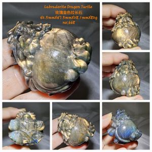 拉长石龙龟/ Labradorite Dragon Tortoise