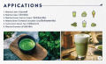 ผงชาเขียว มัทฉะ UJI แท้ 100%🍃 UJI Matcha Powder Tenju 100 g ผงมัทฉะญี่ปุ่น ผงชาเขียวมัทฉะ อูจิมัทฉะ. 