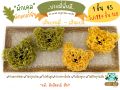 Begin  บะหมี่พี่หมี่ บะหมี่ผักเคล บะหมี่บัตเตอร์นัท (มีไข่ไก่). 