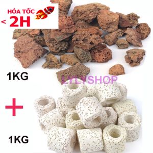 Combo 2kg Đá Nham Thạch & Sứ Lọc Hồ Cá Loại Đẹp - Lọc Nước Khử Kim Loại Tăng Khoáng