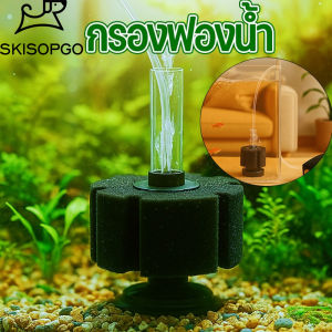 【The Phoenix】กรองฟองน้ำ ตัวกรองฟองน้ำสำหรับตู้ปลา ตัวกรองตู้ปลา กำจัดของเสียได้ดี เพิ่มออกซิเจนในน้ำ