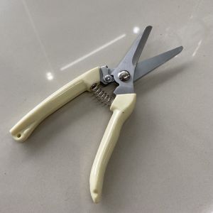 พร้อมส่งในไทย กรรไกร กรรไกรตัดกิ่งไม้ กรรไกรตัดแต่งกิ่งไม้ กรรไกรแต่งกิ่ง ปากโค้ง ปากตรง ราคา/ชิ้น