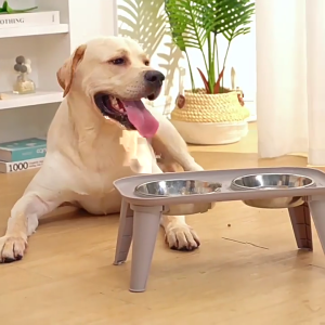 Stainless Bowls Raised Feeder Water Dishes for Dog With Neck Relief Design For Large Dog