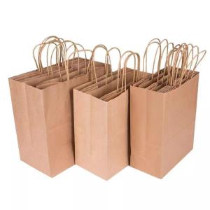 10pcs Kraft Paper Twisted Handle Kraft Paper Bag with Twist Handle Bag Gift Bag Plain Paper Bag