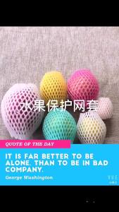 Foam net cover direct from factory strawberry net duck egg pearl cotton cover kiwi net cover egg net