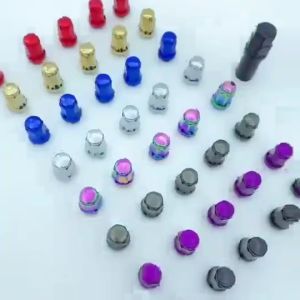 Wheel Nuts 20Pcs M12x1.25 M12x1.5 Lug Hex 17mm Carbon Steel For Car Modification