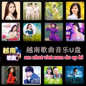 Kuai- 越南神曲歌曲U盘 音乐U盘 Vietnamese Songs U Disk WAV + 170MP3  Digital Music
