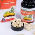 Obat Buah Zakar Bengkak, Obat Testis Besar Sebelah Kanan Kiri, Sakit Gatal Nyeri Buah Zakar Bengkak, Obat Hernia, Turun Bero, Varikokel, Hidrokel, Benjolan Di Buah Zakar, Nyeri Buah Zakar Bengkak Dengan Kapsul Gamat Emas 100% Original. 