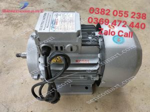 Motor điện 1 pha 15kw băm cỏ thái chuối dây đồng