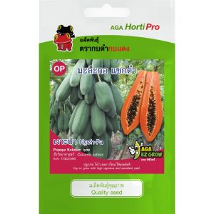 เมล็ดพันธุ์ มะละกอแขกดำเงาะป่า (ซองรีเทลและซองม่วง)