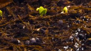 Garden Hose Nozzle High Pressure Spray Nozzle 8 Spray Patterns for Watering Plants Lawn Patio Cleaning Showeringwith 3.5oz/100cc Soap Dispenser Bottle Yellow