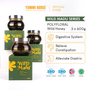 Yummi House Polyfloral Wild Honey (Digestion Constipation Gastric) - 3 x 600g