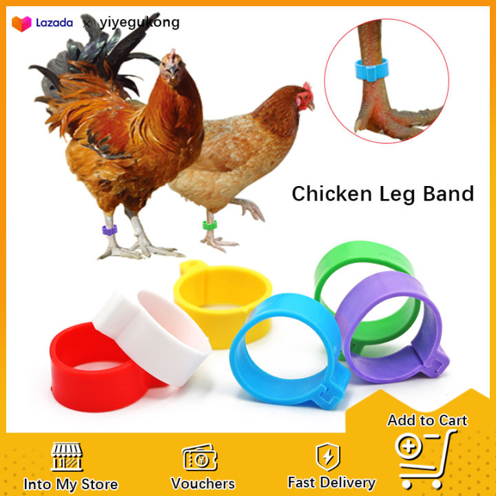 10Pcs 25Pcs 50Pcs 100Pcs Assorted Color Chicken Feet Tags Chicken