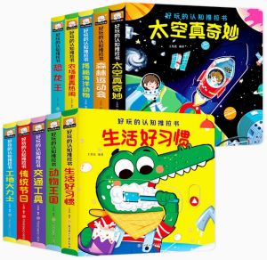 Chinese fun cognitive push-pull books 好玩的认知推拉书全10册
