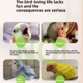 Ti Ti Parrot Bird Ring Toy for lovebird Solid Wood Educational Bird Supplies Intelligence Training Interactive Parrot Toys Bird. 