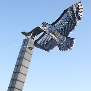 Novelty Animal Kites 1.5m/1.8m Huge Eagles Kite Easy to Fly Outdoor Game Sport for Children